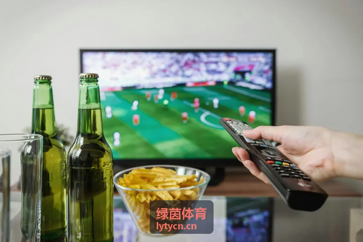 绿茵体育校园体育设施解决方案示意